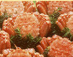 網走水産